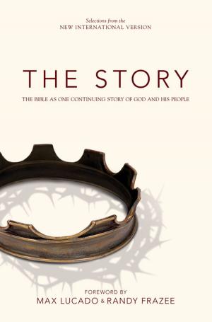 Cover of NIV, The Story, eBook