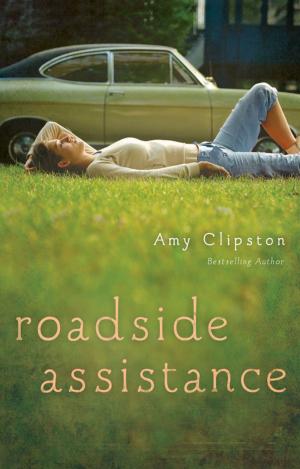 Cover of the book Roadside Assistance by Terri Blackstock