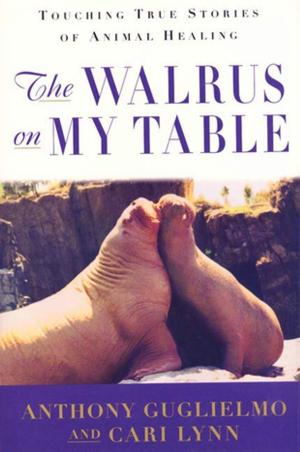 Book cover of The Walrus on My Table
