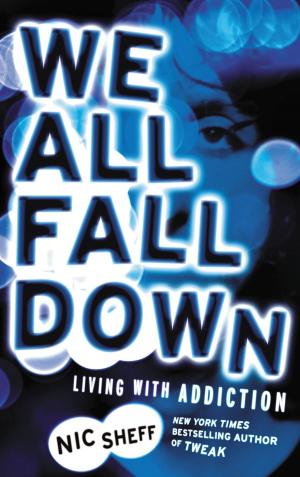 Cover of the book We All Fall Down by Lucy Rosen