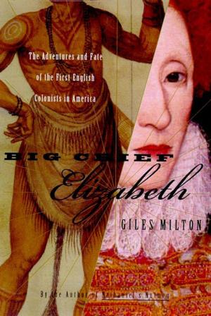 Book cover of Big Chief Elizabeth