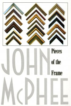Cover of the book Pieces of the Frame by Joanna Scott