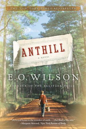 Cover of the book Anthill: A Novel by Edmund S. Morgan