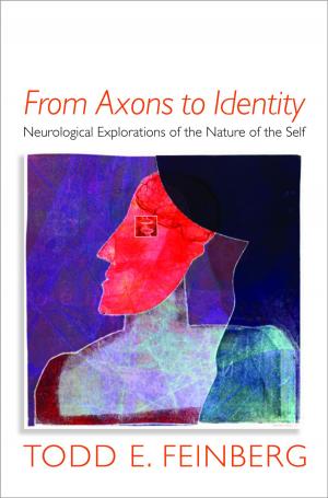 bigCover of the book From Axons to Identity: Neurological Explorations of the Nature of the Self (Norton Series on Interpersonal Neurobiology) by 