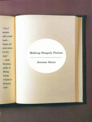 Cover of the book Making Shapely Fiction by Dara Horn