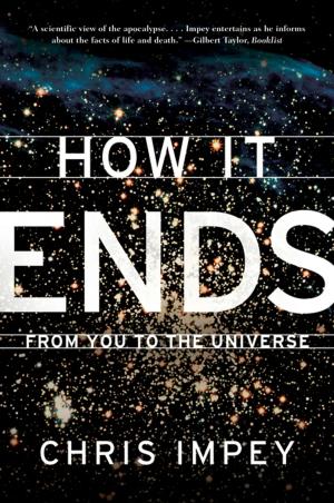Cover of the book How It Ends: From You to the Universe by Courtney Armstrong