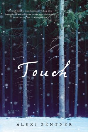 Cover of the book Touch: A Novel by Allan N. Schore, Ph.D.