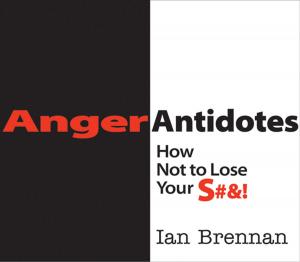 Cover of the book Anger Antidotes: How Not to Lose Your S#&! by Todd DePastino