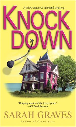 Cover of the book Knockdown by James Luceno
