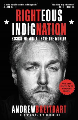 Cover of the book Righteous Indignation by Keith Henning