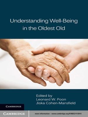 Cover of the book Understanding Well-Being in the Oldest Old by Simcha Ronen, Oded Shenkar