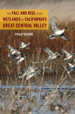 Cover of the book The Fall and Rise of the Wetlands of California's Great Central Valley by Pierre Schaeffer