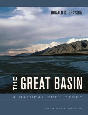 Cover of the book The Great Basin by Martin Munro