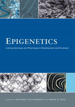 Cover of the book Epigenetics by John Iceland