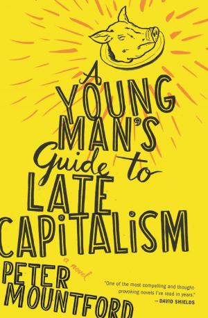Book cover of A Young Man's Guide to Late Capitalism