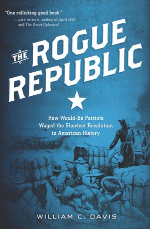 Cover of the book The Rogue Republic by Richard Rubin