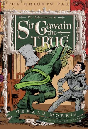 Book cover of The Adventures of Sir Gawain the True