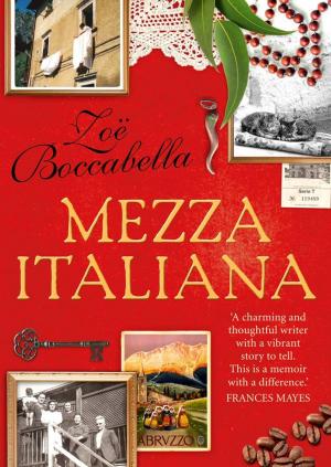 Cover of the book Mezza Italiana by David Harris