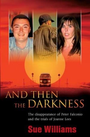 Cover of the book And Then the Darkness by Michael J. Valenzuela