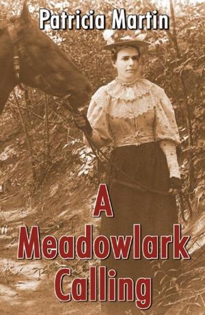 Book cover of A Meadowlark Calling