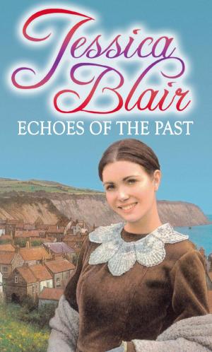 Cover of the book Echoes of the Past by Elizabeth Jeffrey