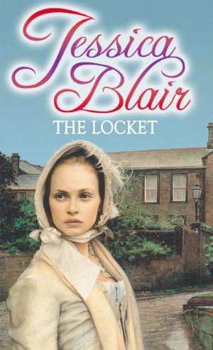 Cover of the book The Locket by Andrew Stevenson