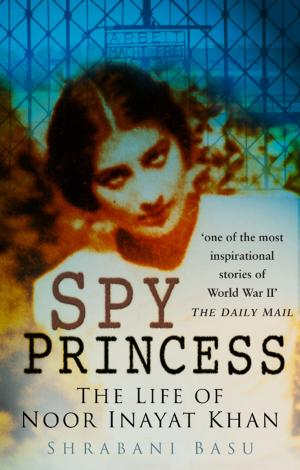 Book cover of Spy Princess