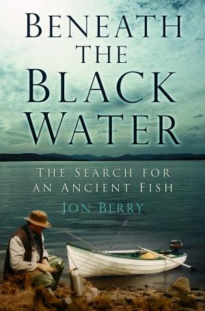 bigCover of the book Beneath the Black Water by 