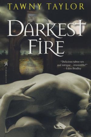 Book cover of Darkest Fire