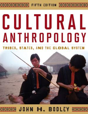 Cover of the book Cultural Anthropology by Stephen John Hartnett
