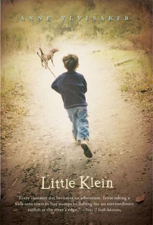 Cover of the book Little Klein by Todd Mitchell