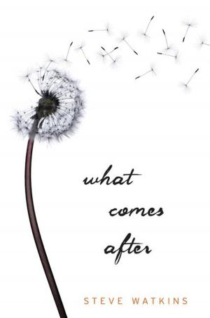 Cover of the book What Comes After by Ron Koertge, Chris Lynch, Ellen Wittlinger, Louise Hawes, Cynthia Leitich Smith, J. L. Powers, Varian Johnson, Mary Ann Downing Rodman, Zoe Marriott, Kerry Cohen, Ann Angel, erica l. kaufman, E. M. Kokie