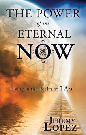 Book cover of The Power of the Eternal Now