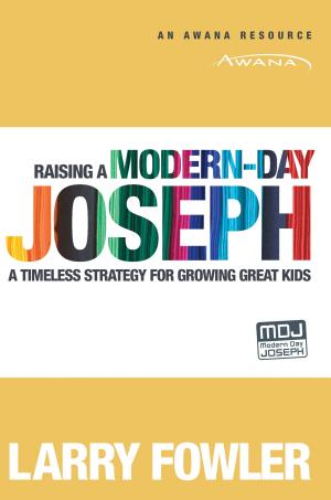 Cover of the book Raising a Modern-Day Joseph by Steve Farrar