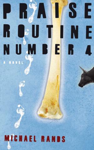 Cover of the book Praise Routine No. 4 by Christine le Roux