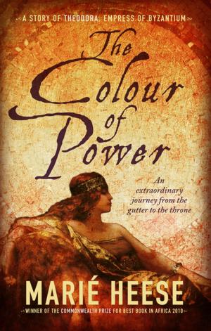 Cover of the book The Colour of power by Chris Karsten