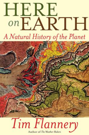Cover of the book Here on Earth by Sayed Kashua