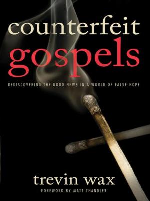 Cover of the book Counterfeit Gospels by Lynn Jaguar
