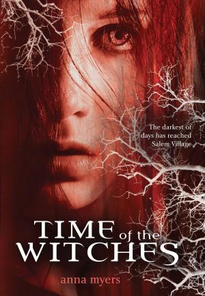 bigCover of the book Time of the Witches by 