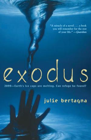 Cover of the book Exodus by Louise Gray