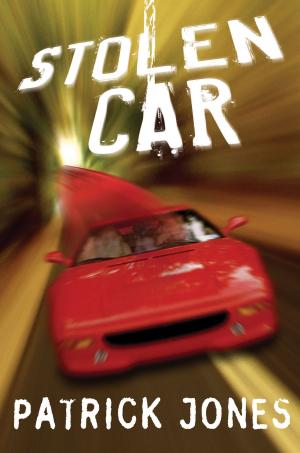 Book cover of Stolen Car