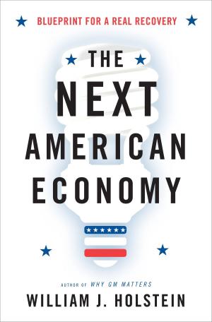 bigCover of the book The Next American Economy by 