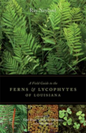 Book cover of A Field Guide to the Ferns and Lycophytes of Louisiana
