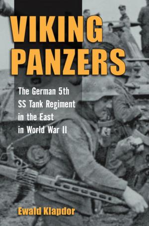 Cover of the book Viking Panzers by Julie King