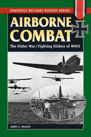 Cover of the book Airborne Combat by Dave Hughes