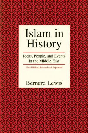 bigCover of the book Islam in History by 