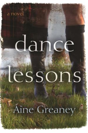 Cover of the book Dance Lessons by Kevin R. Cox