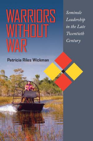 Cover of the book Warriors Without War by Roy Hoffman