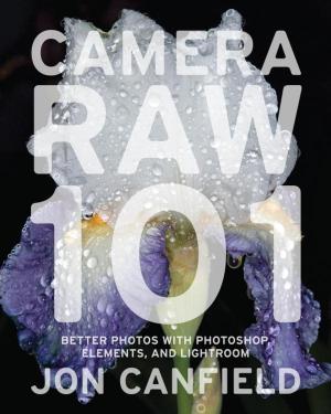 Cover of the book Camera RAW 101 by Anne McKinnell