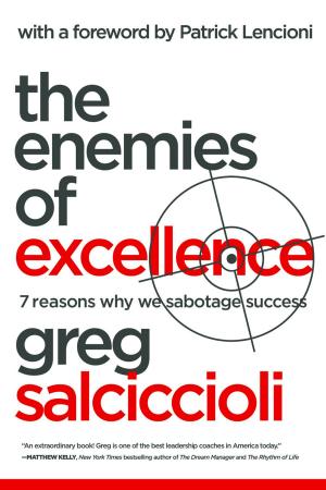 Cover of the book The Enemies of Excellence by Greg Hutchins